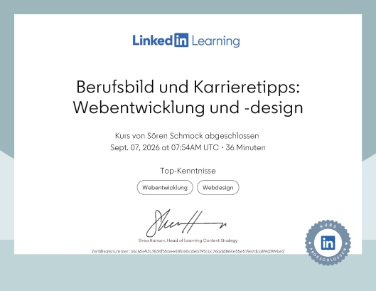 Berufsbild und Karrieretipps: Webentwicklung und -design